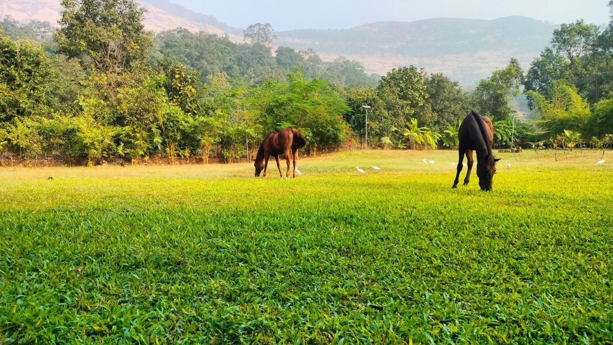 King'S Landing Villa Karjat Buitenkant foto